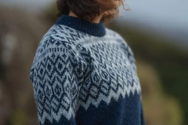 Borg - Icelandic Blue sweater